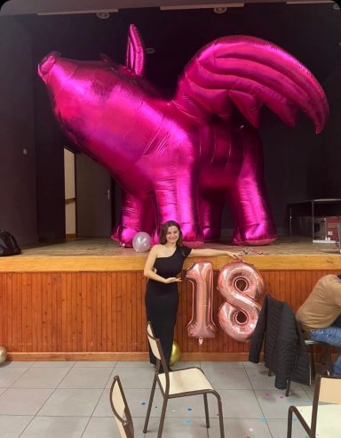 Location 70€ Cochon gonflable rose avec des ailes